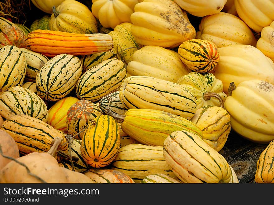 Piles of colorful yellow gourds - close-up detail