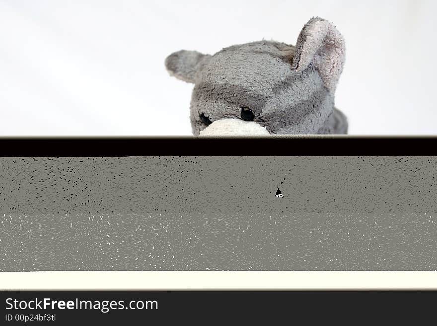 Toy-cat with head hanging against white background. Toy-cat with head hanging against white background