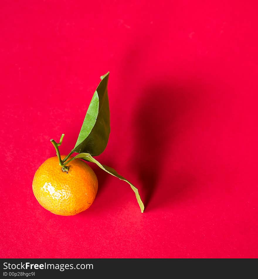 Tangerine with Leaves and Shadows