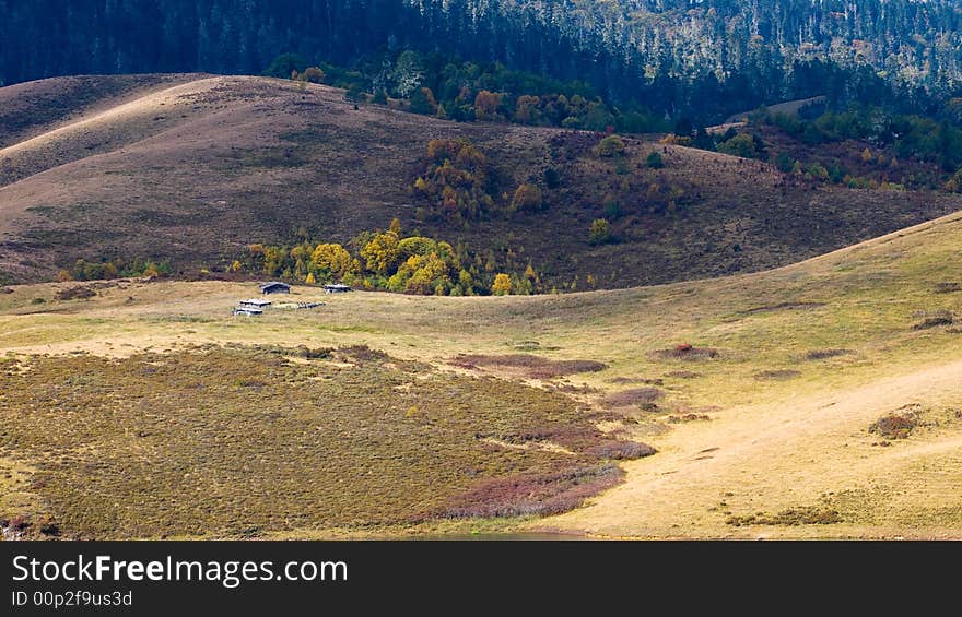 Autumn Scenery