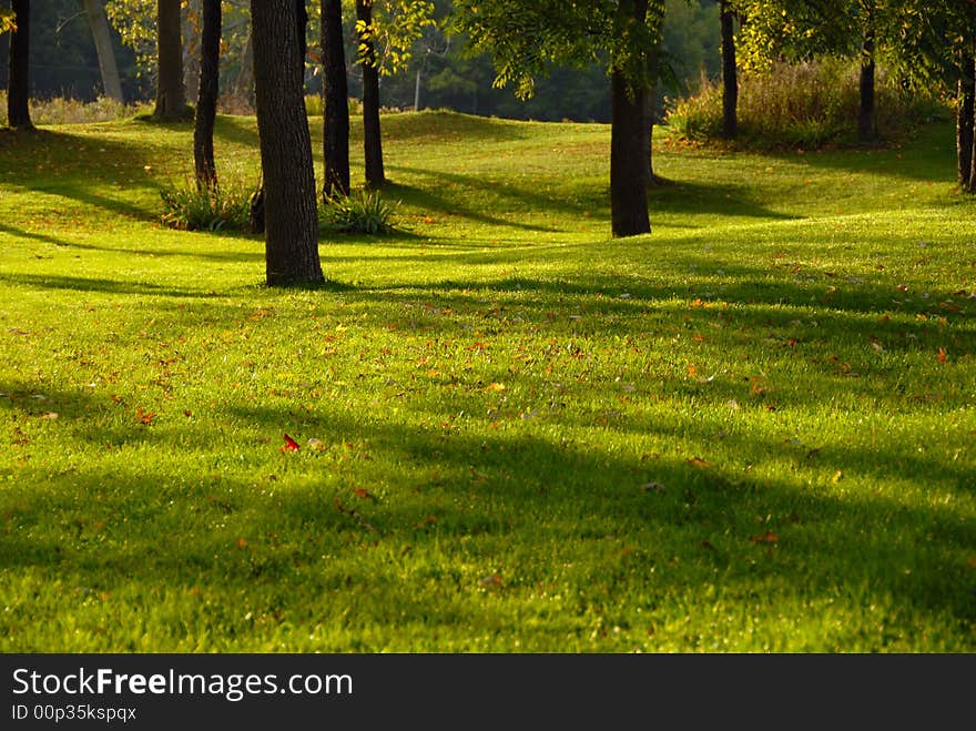 Early morning sunlight in the meadow, fall season