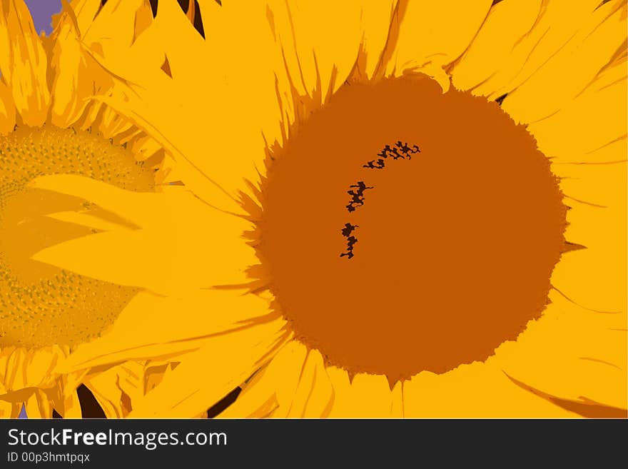 An image of a sunflower