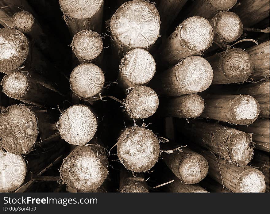 Nice wood background. Tree  logs. Nice wood background. Tree  logs.