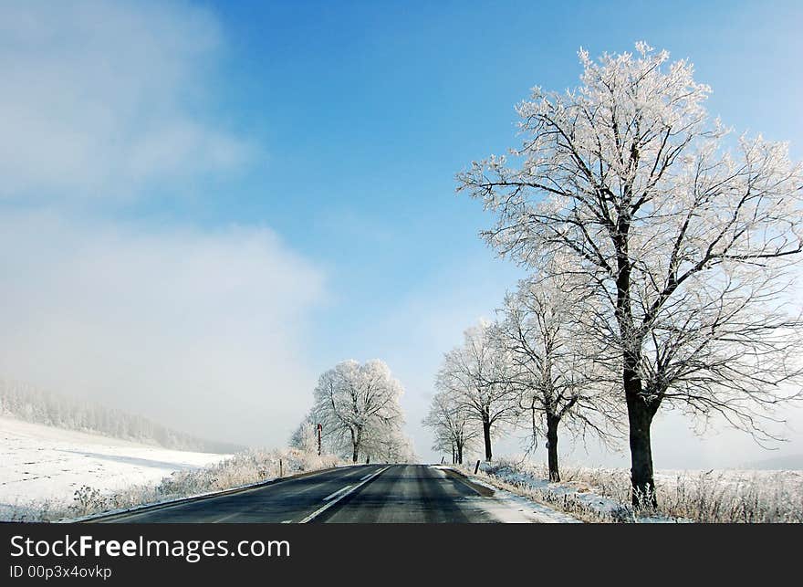 Winter Road