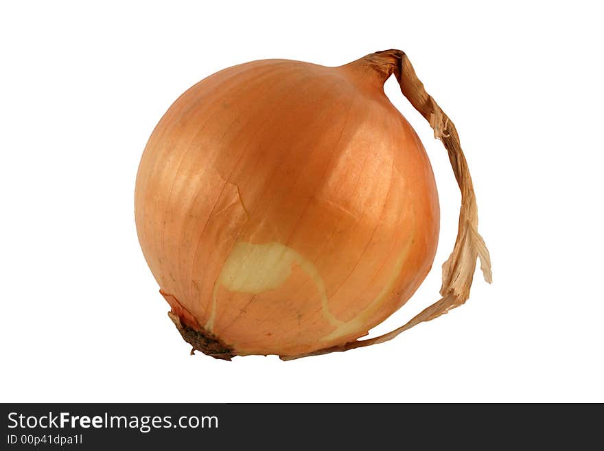 Isolated Yellow onion on white