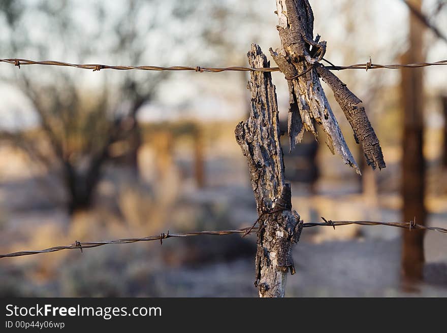 Barbed wire at sunset with a twisted broken stick. Barbed wire at sunset with a twisted broken stick.