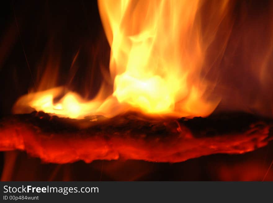 A burning ember. The remains of a branch off of a lodgepole pine tree(Pinus contorta var. latifolia) after a spot fire.