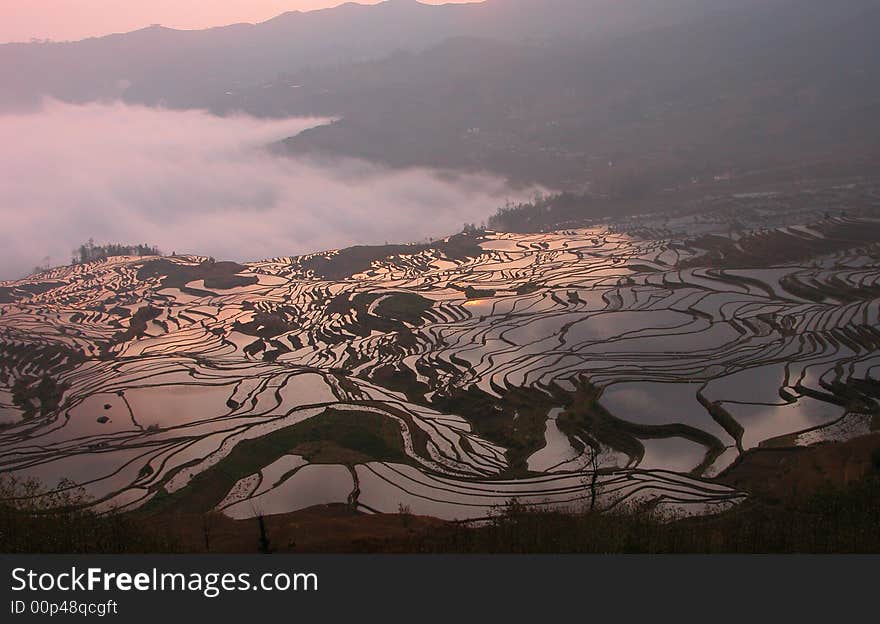 Sunrise in YuanYang terrace, west-south of  YunNan province China. Sunrise in YuanYang terrace, west-south of  YunNan province China.