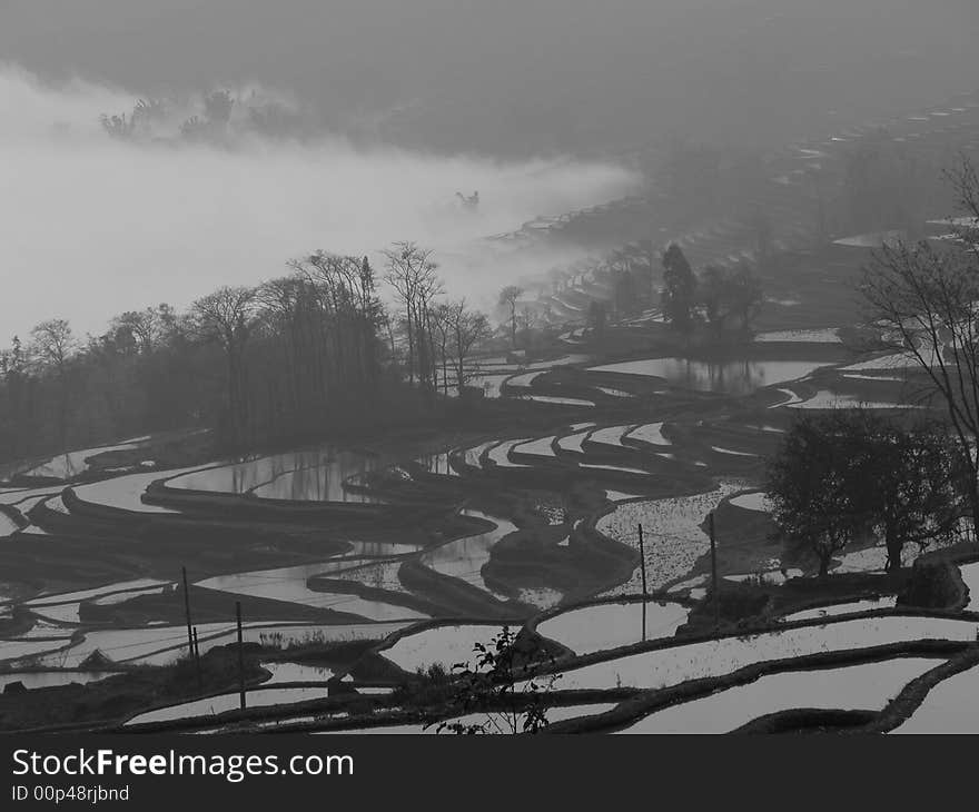 Sunrise in YuanYang terrace, west-south of  YunNan province China. Sunrise in YuanYang terrace, west-south of  YunNan province China.