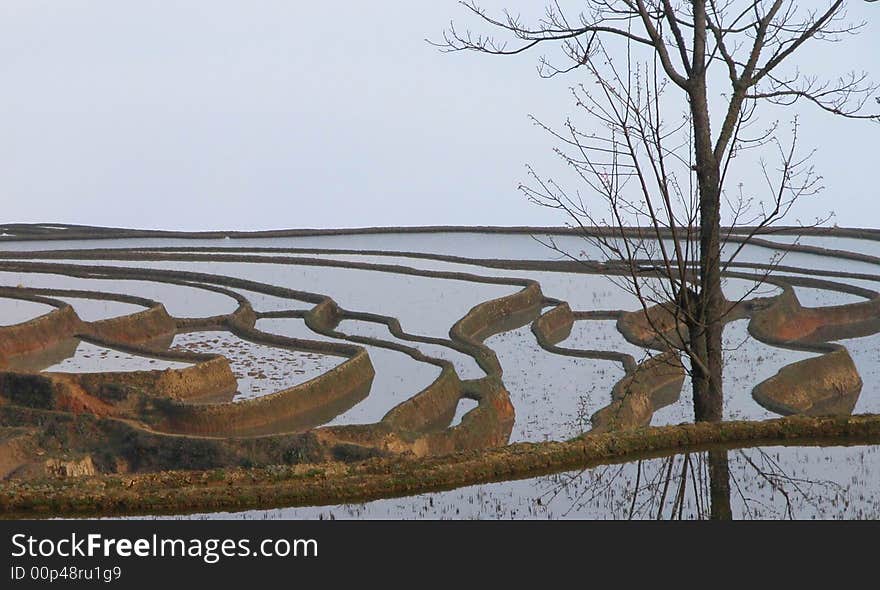 Terrace of  YuanYang ,west-south of  YunNan province China.