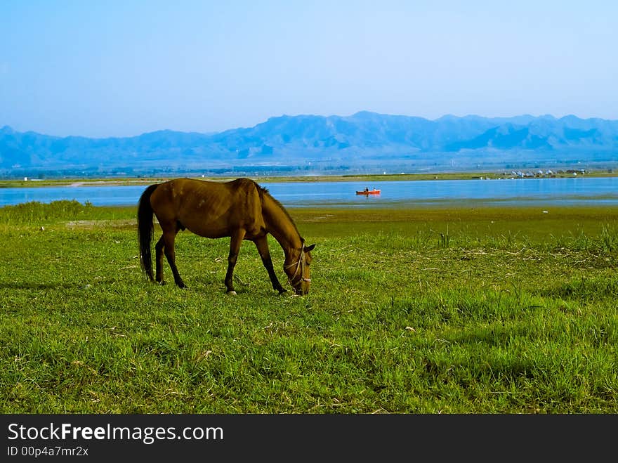 A photo from Kangxi Grassland, north China. A photo from Kangxi Grassland, north China