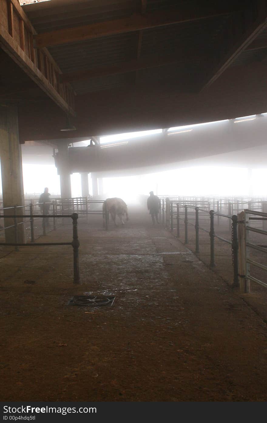 Foggy market