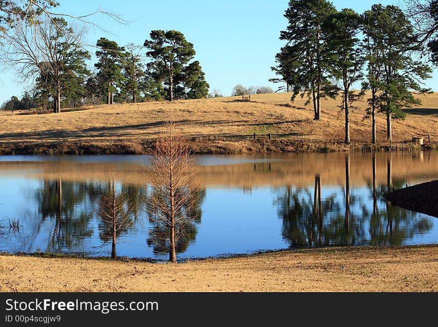 Beautiful reflections in this winter time pond in East Texas. Beautiful reflections in this winter time pond in East Texas