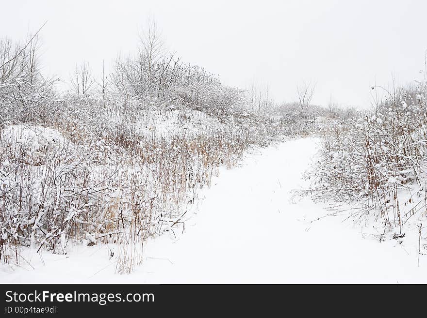 Winter landscape with the hoarfrost on trees