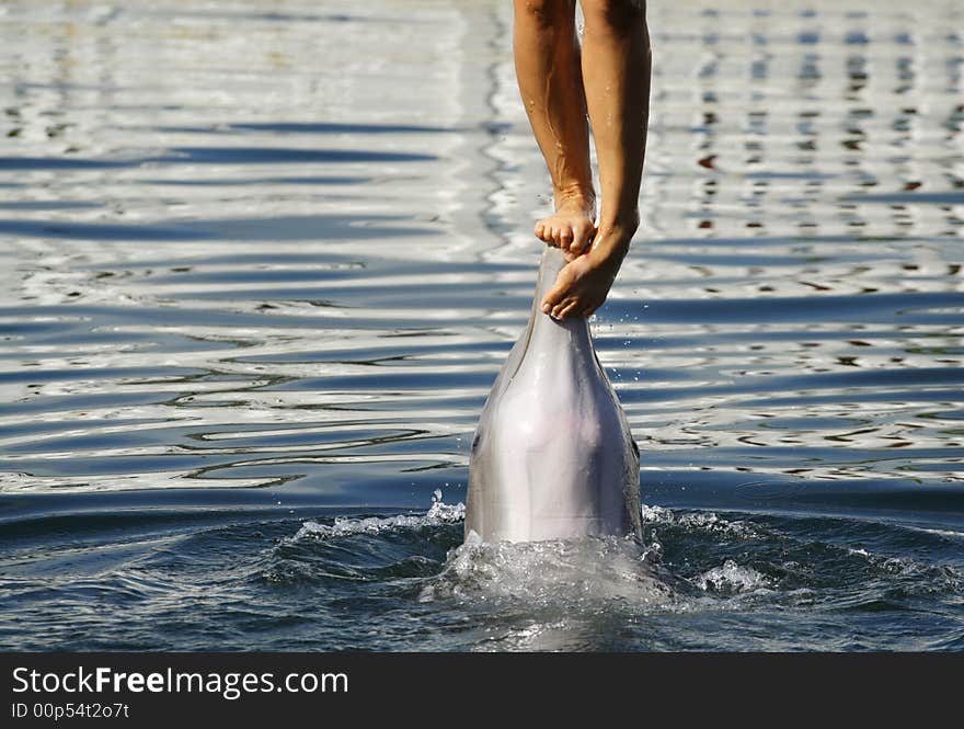 Feet on a Dolphin