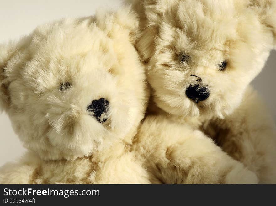 Two little cute bears