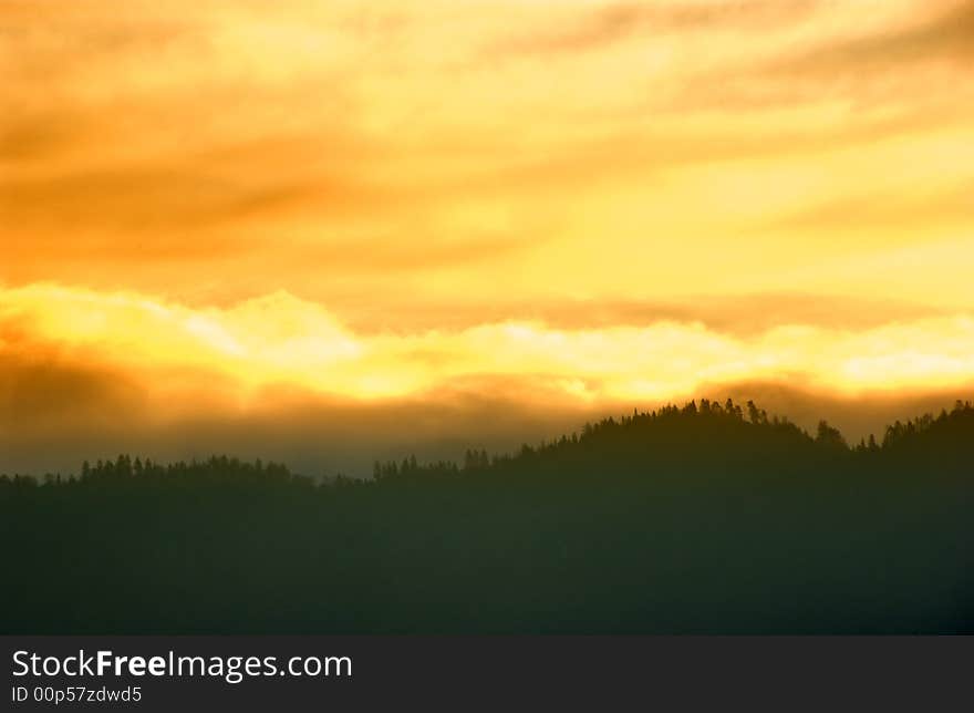 Mountain and tree in the fog at sunrise