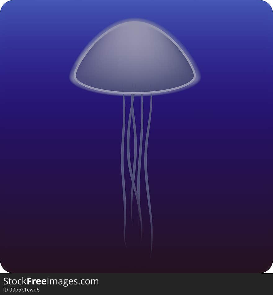 Jellyfish