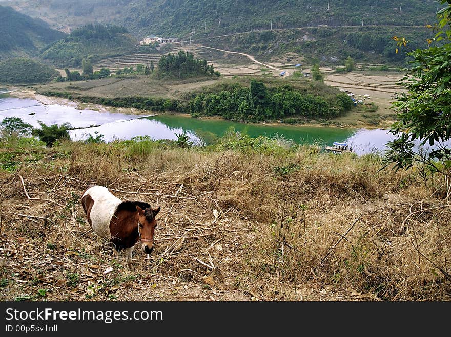 A horse stands before a grand landscape in china. A horse stands before a grand landscape in china