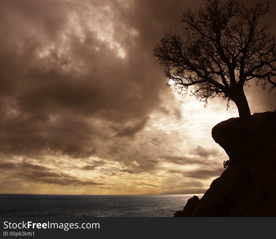 Lonely tree on a rock.