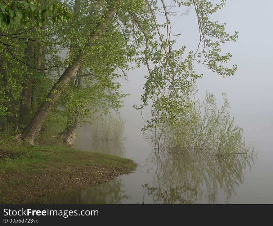 Flooded river bank on early misty morning. Flooded river bank on early misty morning