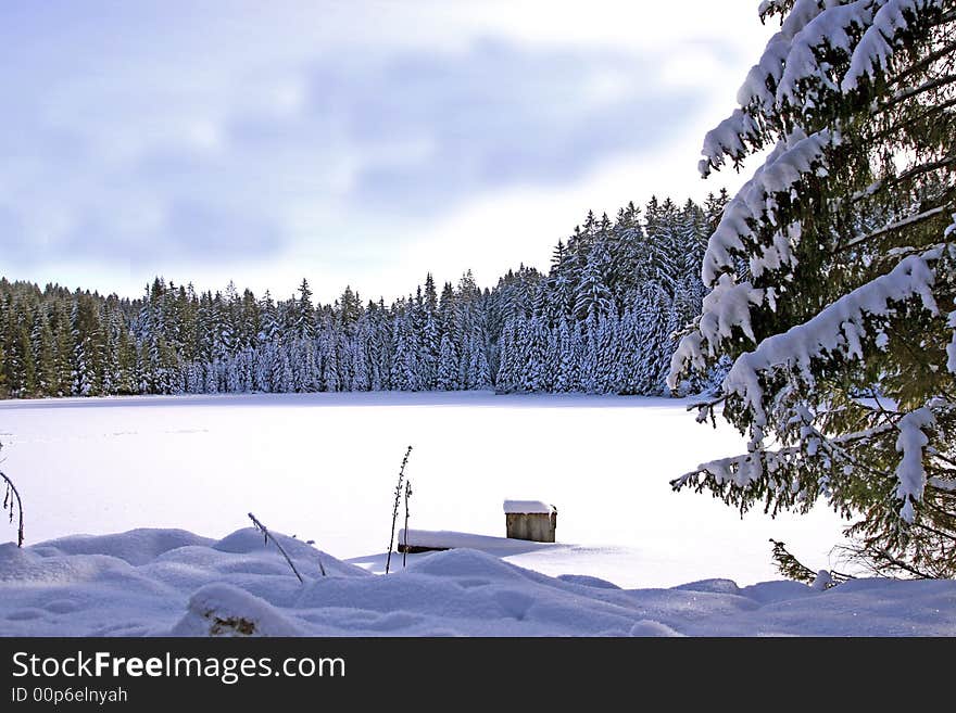 Bohemia Nature