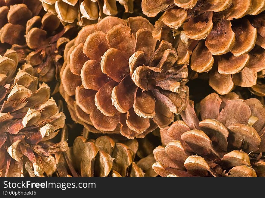 Pinecone Background