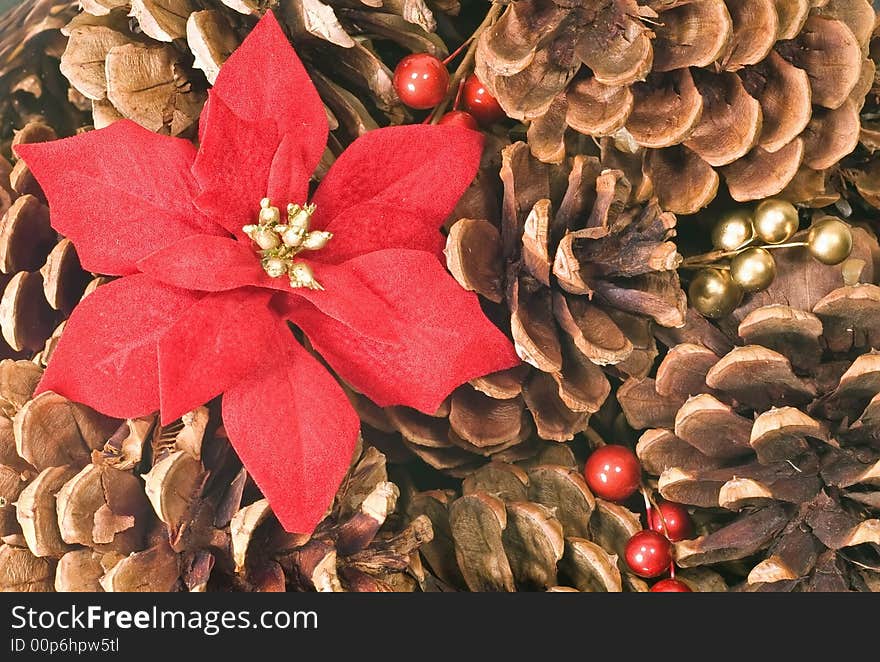 Pinecone and Poinsettia Background