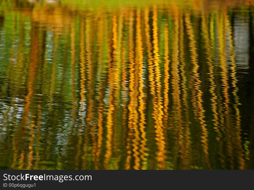 Reflection of yellow bamboo in the ponds