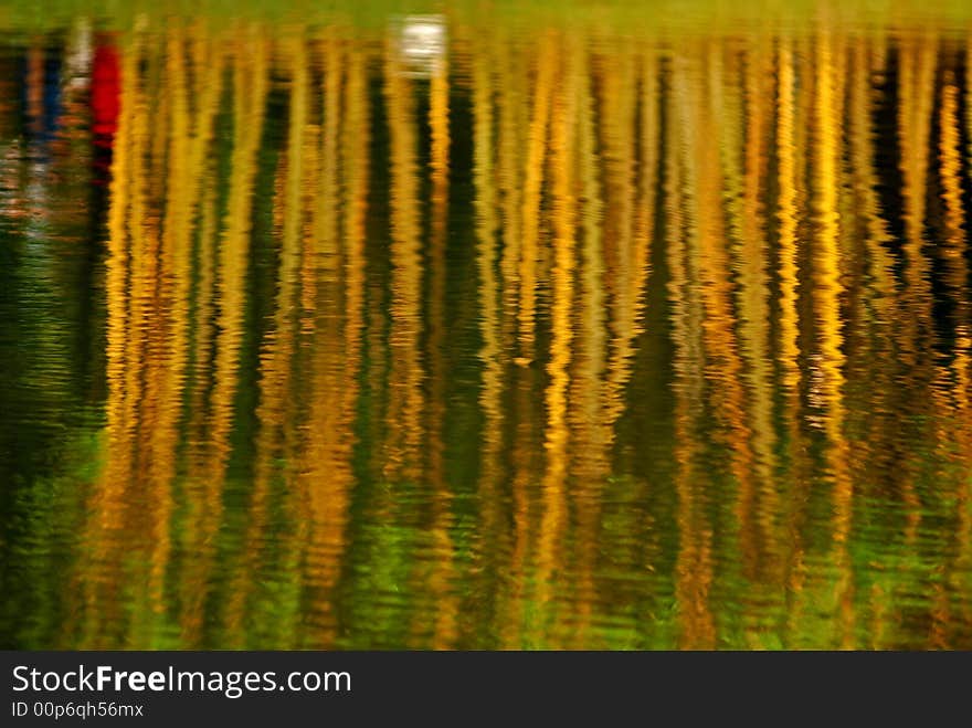 Reflection of yellow bamboo in the ponds