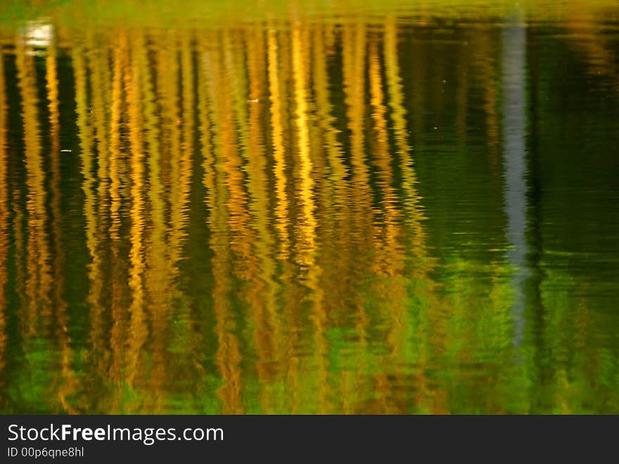 Yellow bamboo reflection in the ponds