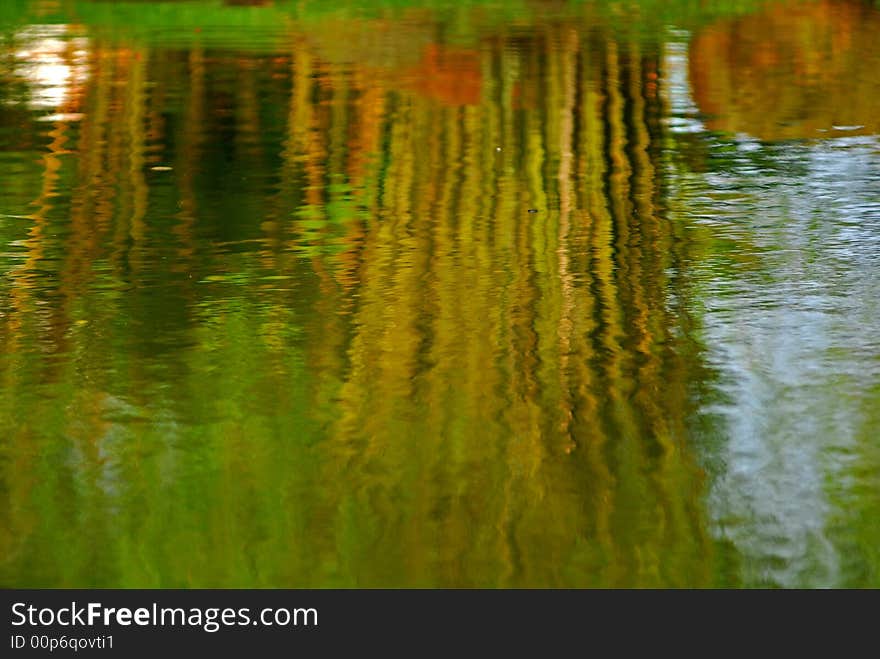 Yellow bamboo reflection in the ponds