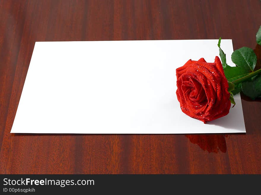 The red rose lays on a pure sheet of a paper