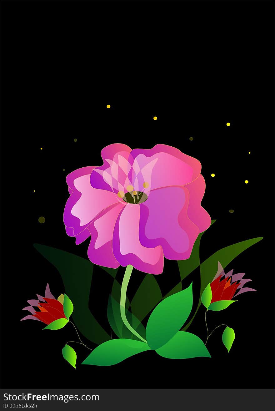 Flowers on the black background