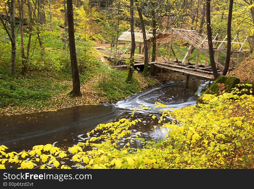 An image of a footbridge in autumn forest