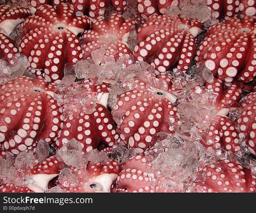 Tokyo: red octopussy at the fish market