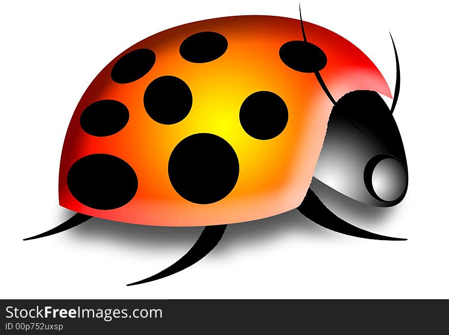 Large illustration of a lady bug orange yellow. Large illustration of a lady bug orange yellow