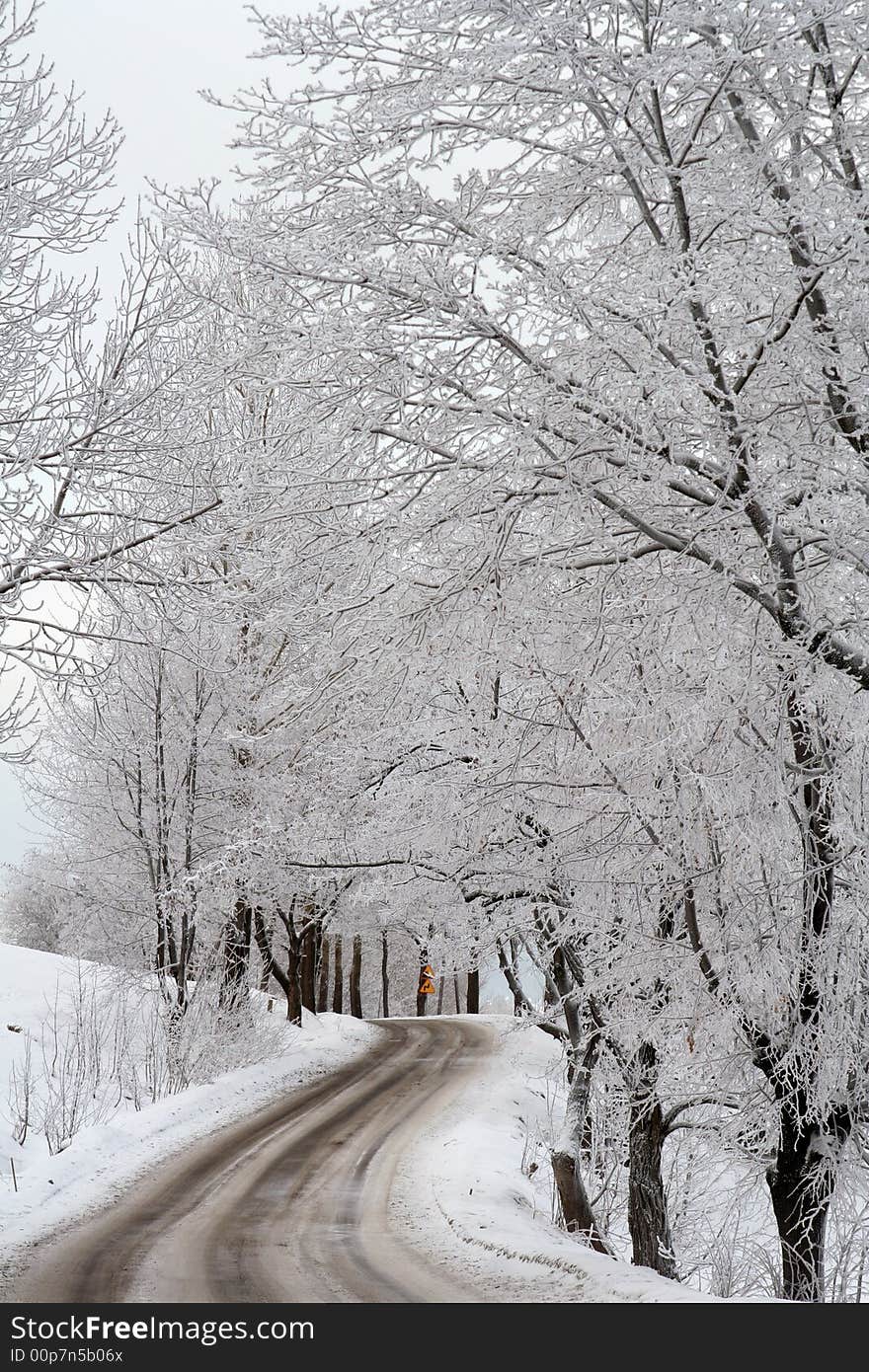 Winter road