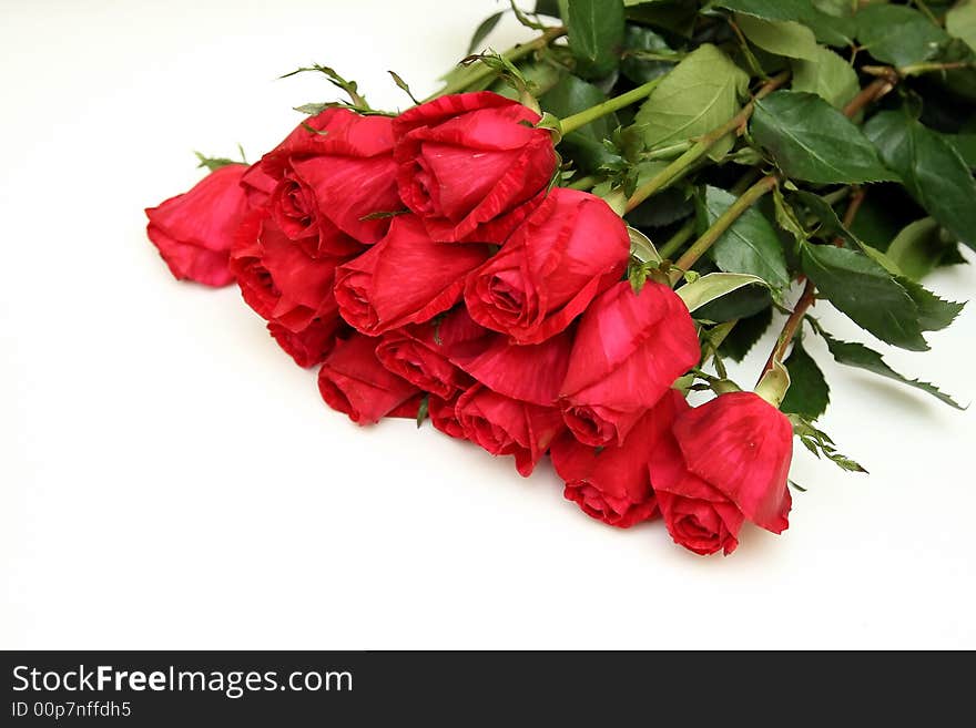 Bouquet of red roses on a white background