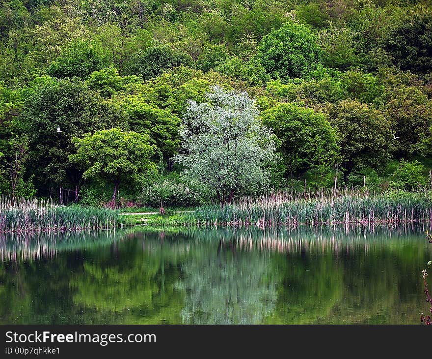 Water reflection on a lake