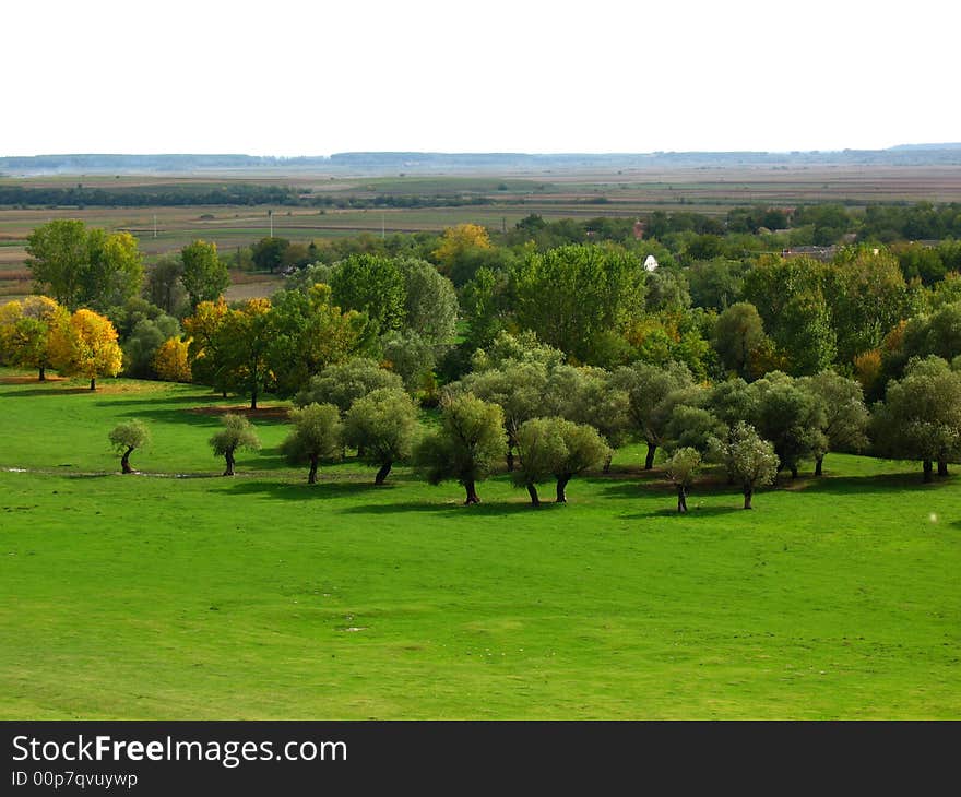 Green field in Vojvodina, Serbia