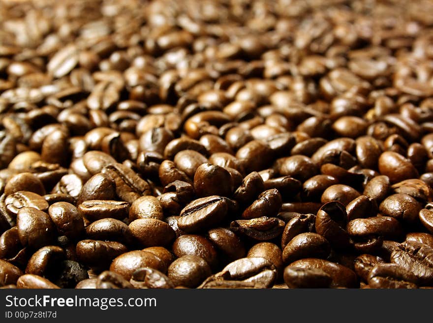 Coffee Beans