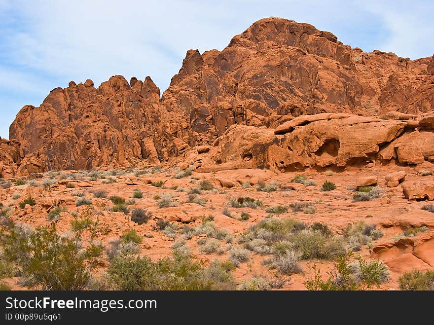 Desert landscape