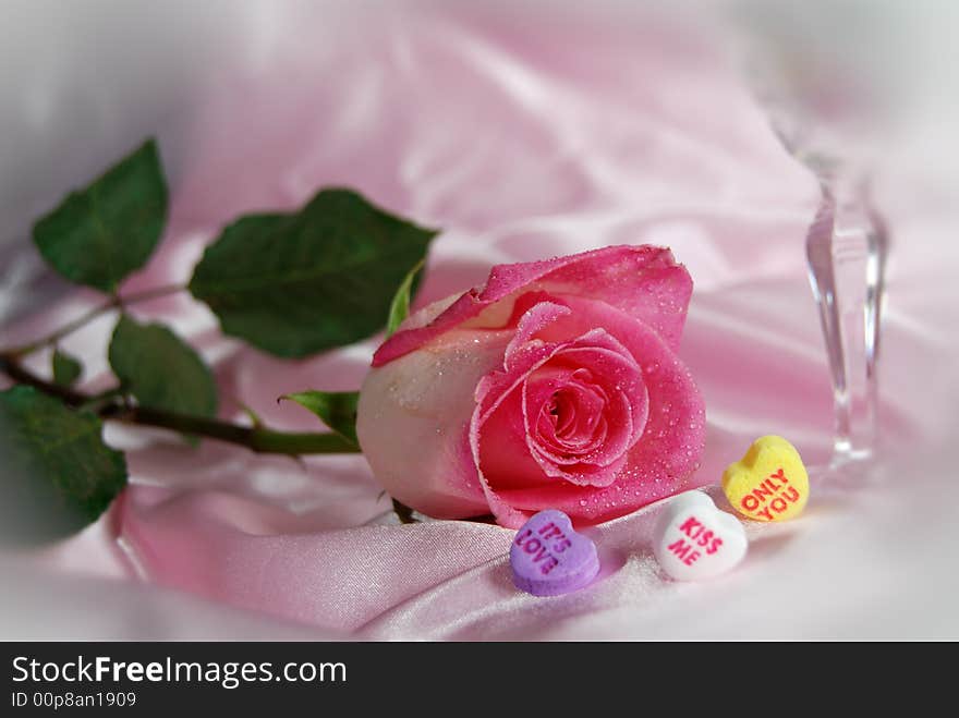 Pink rose with candy hearts on pink satin. Pink rose with candy hearts on pink satin.