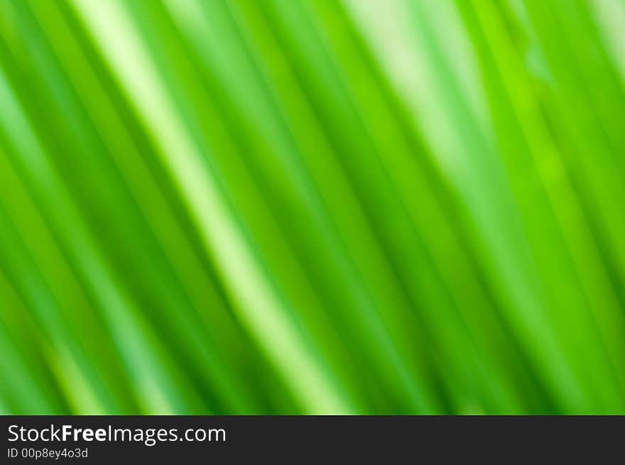 Virtual strips of green foliage. Virtual strips of green foliage