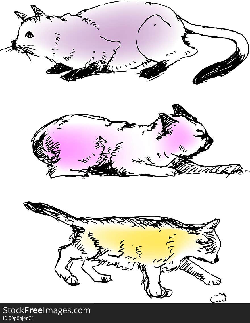 A vector illustration sketching for a variety view for cats, pet.