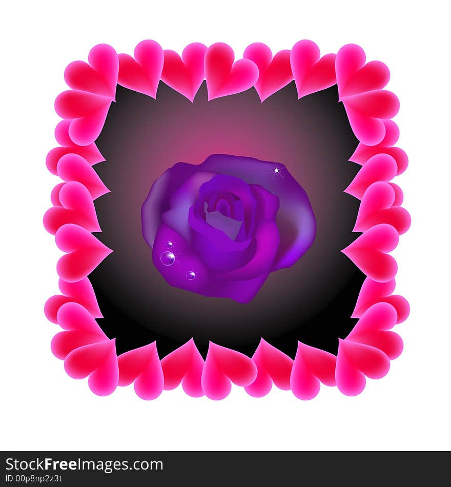 Vector illustration for a violet rose with loves border