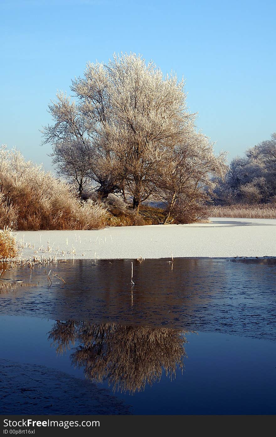 Winter landscape