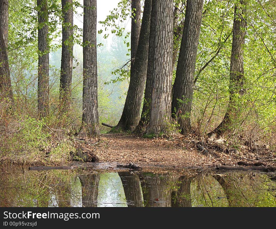 Flooded Paths