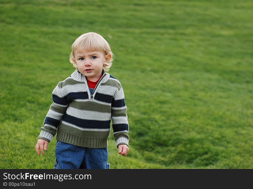 A little kid is enjoying his time in the park. A little kid is enjoying his time in the park